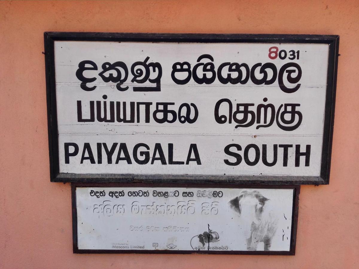 Thoduwawa Beach Villa Paiyagala Экстерьер фото
